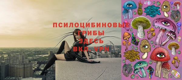 герыч Липки