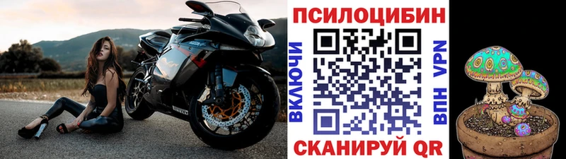 Псилоцибиновые грибы GOLDEN TEACHER  Реж 